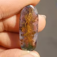 نگین شجر منظره فوق قیمتی سه قلعه با شجر های بسیار واضح و خوش رنگ بسیار خاص و زیبا شاهکار خلقت کد 111125