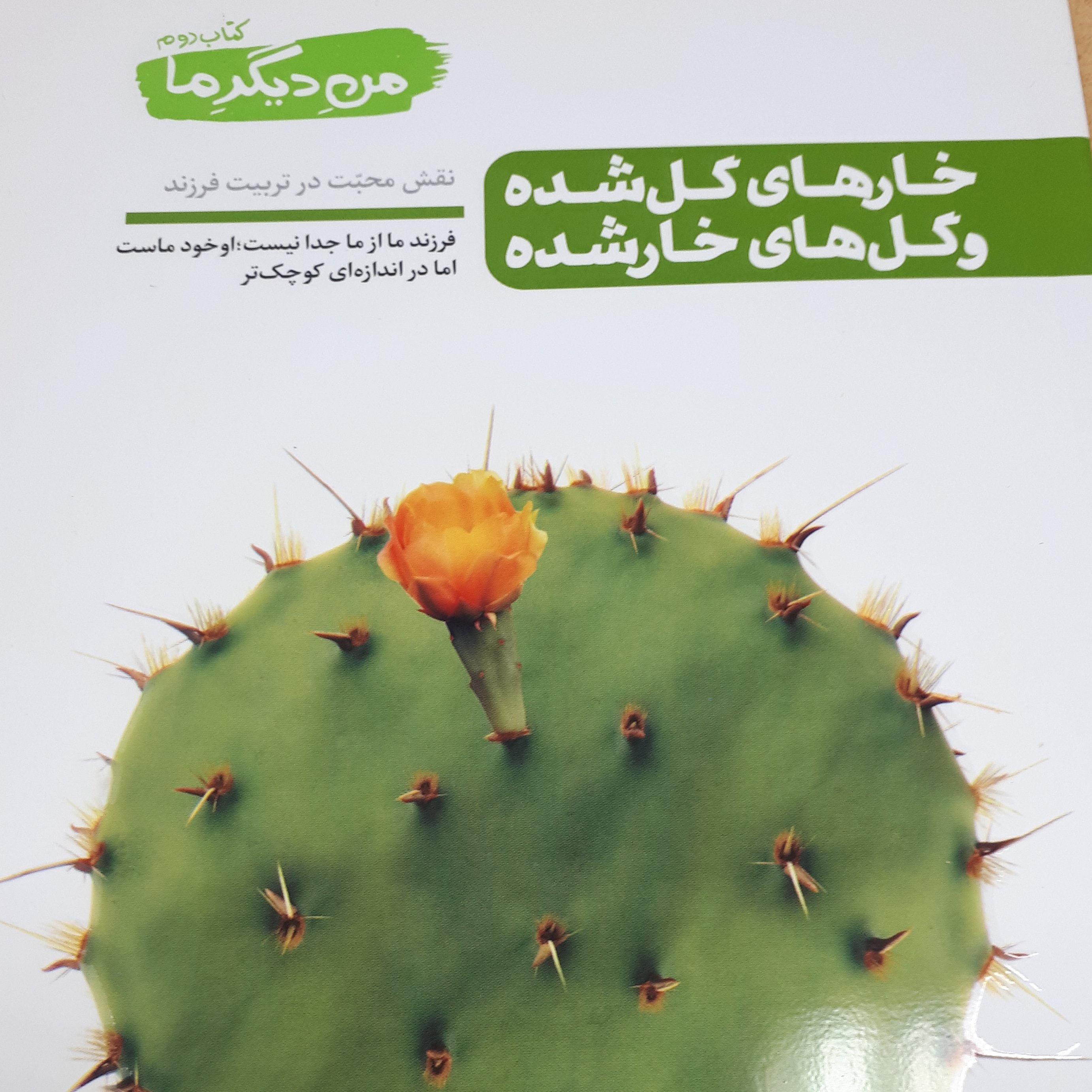 من دیگر ما جلد 2