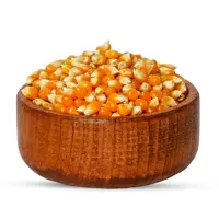 ذرت پفیلا خام تازه و درجه یک ( ذرت پاپ کورن  ) وزن 250 گرم