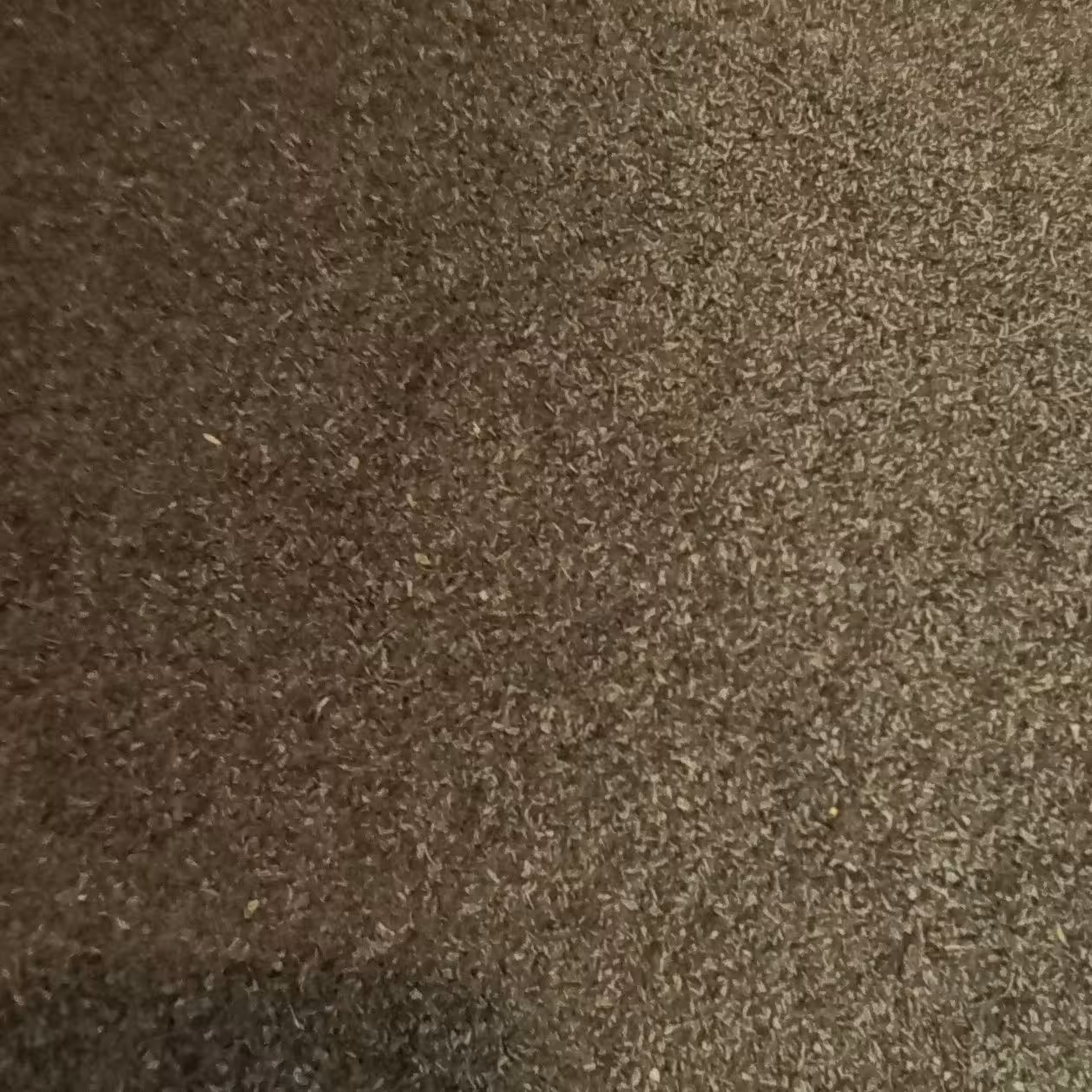 نعناع خشک_شسته و الک شده ی خونگی و سنتی 50گرمی