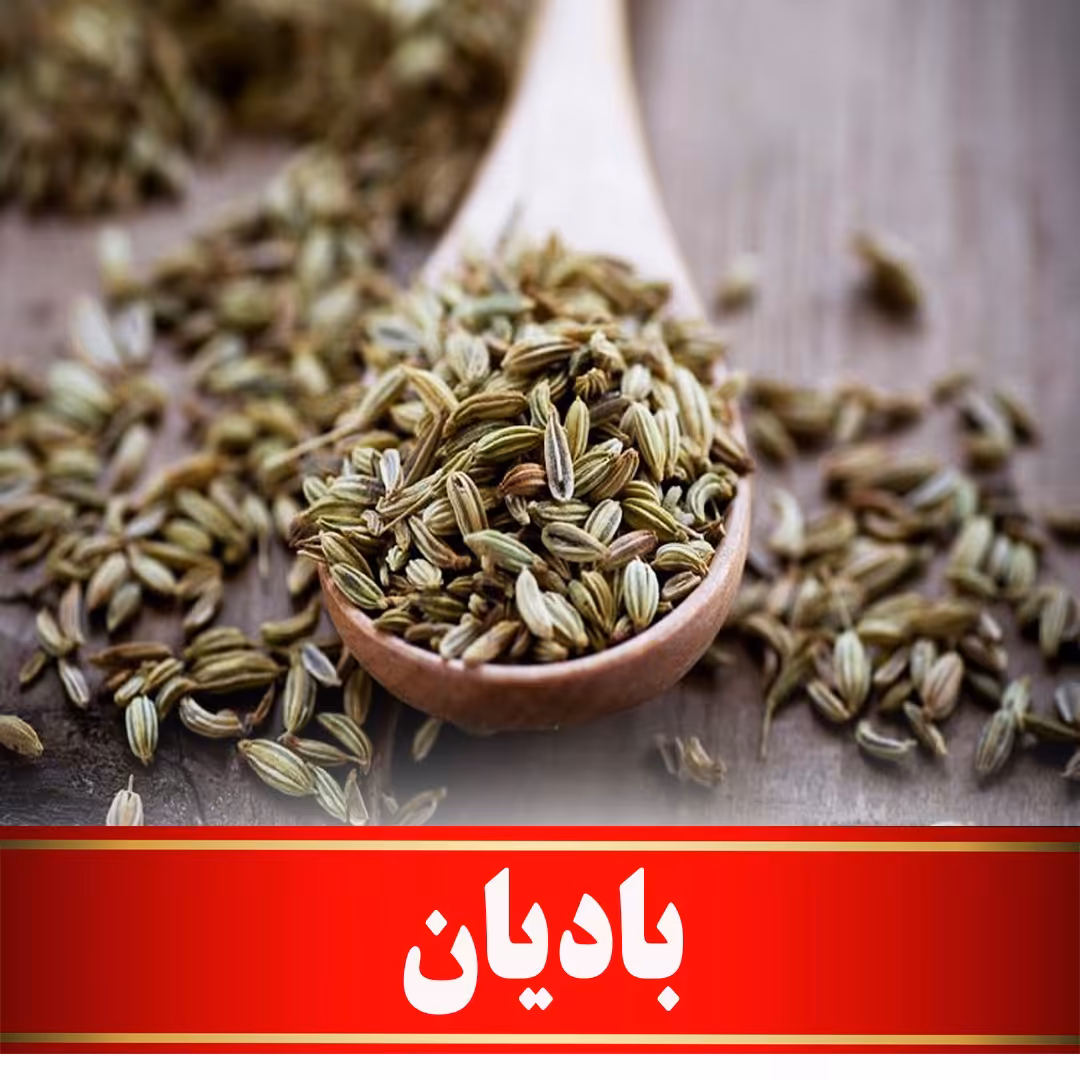 بادیان اعلا  (100 گرمی)