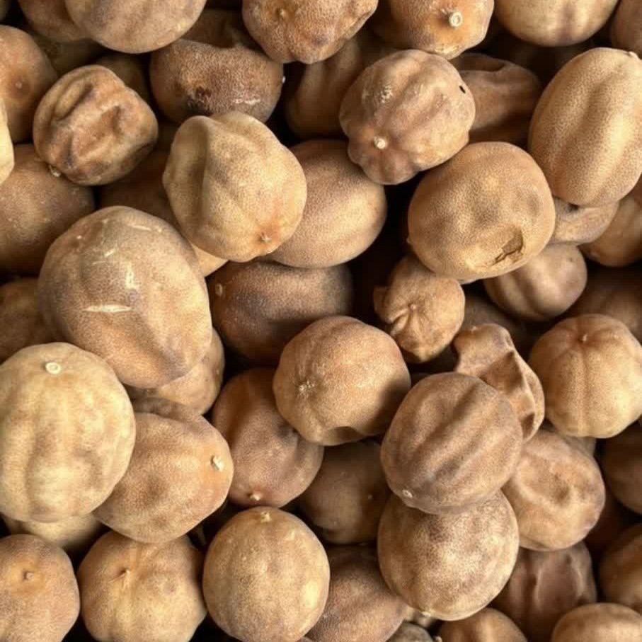 لیمو عمانی مرغوب آل عبا