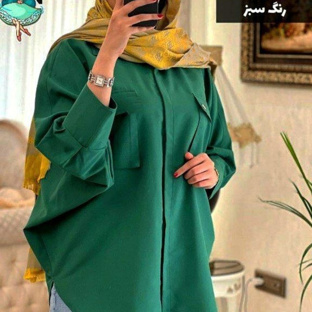 پانچ دوجیب میکرو