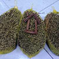 دارچین اعلا سیگاری بسته 50 گرمی با بهترین کیفیت و مناسبترین قیمت