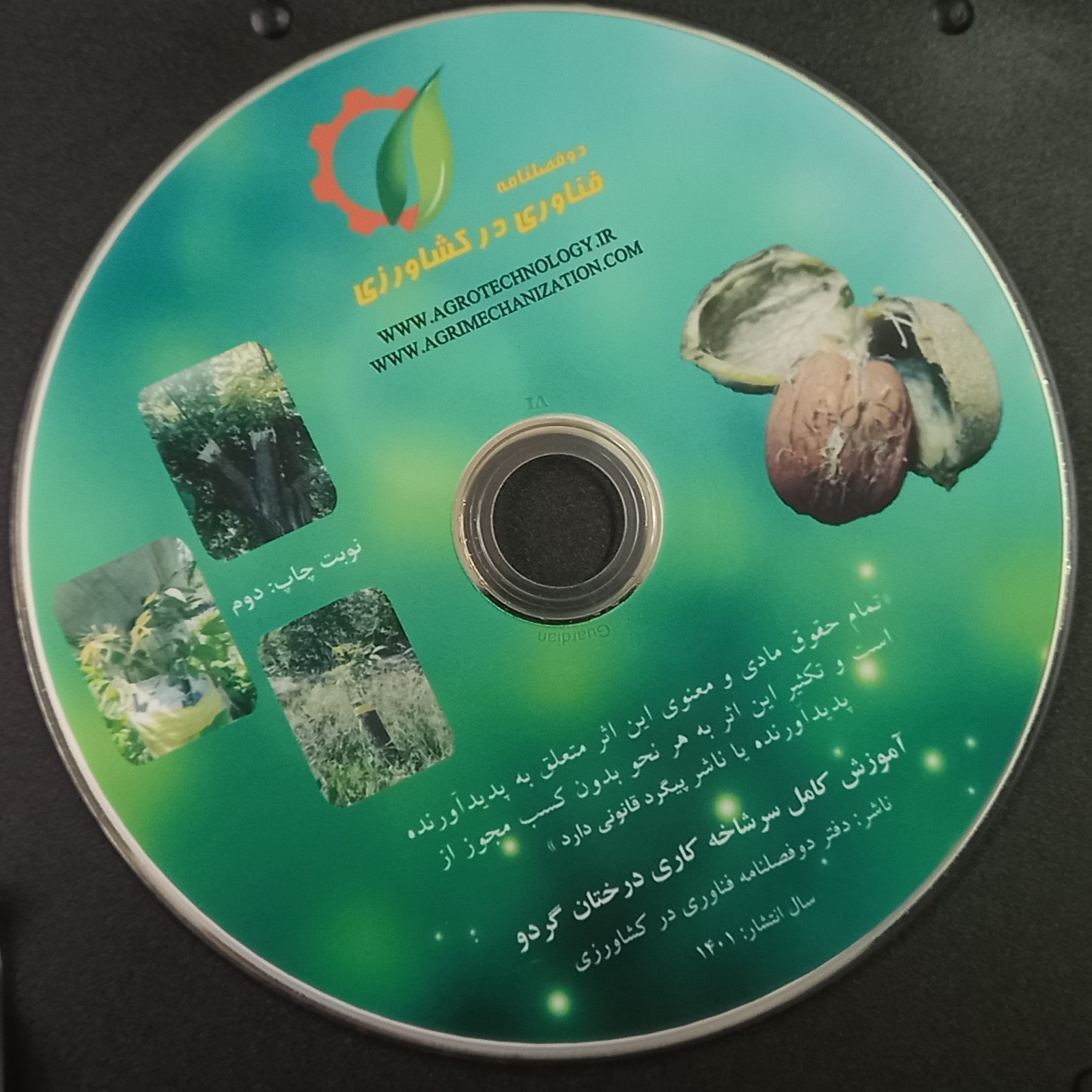 لوح پیوند درختان گردو به روش سرشاخه کاری