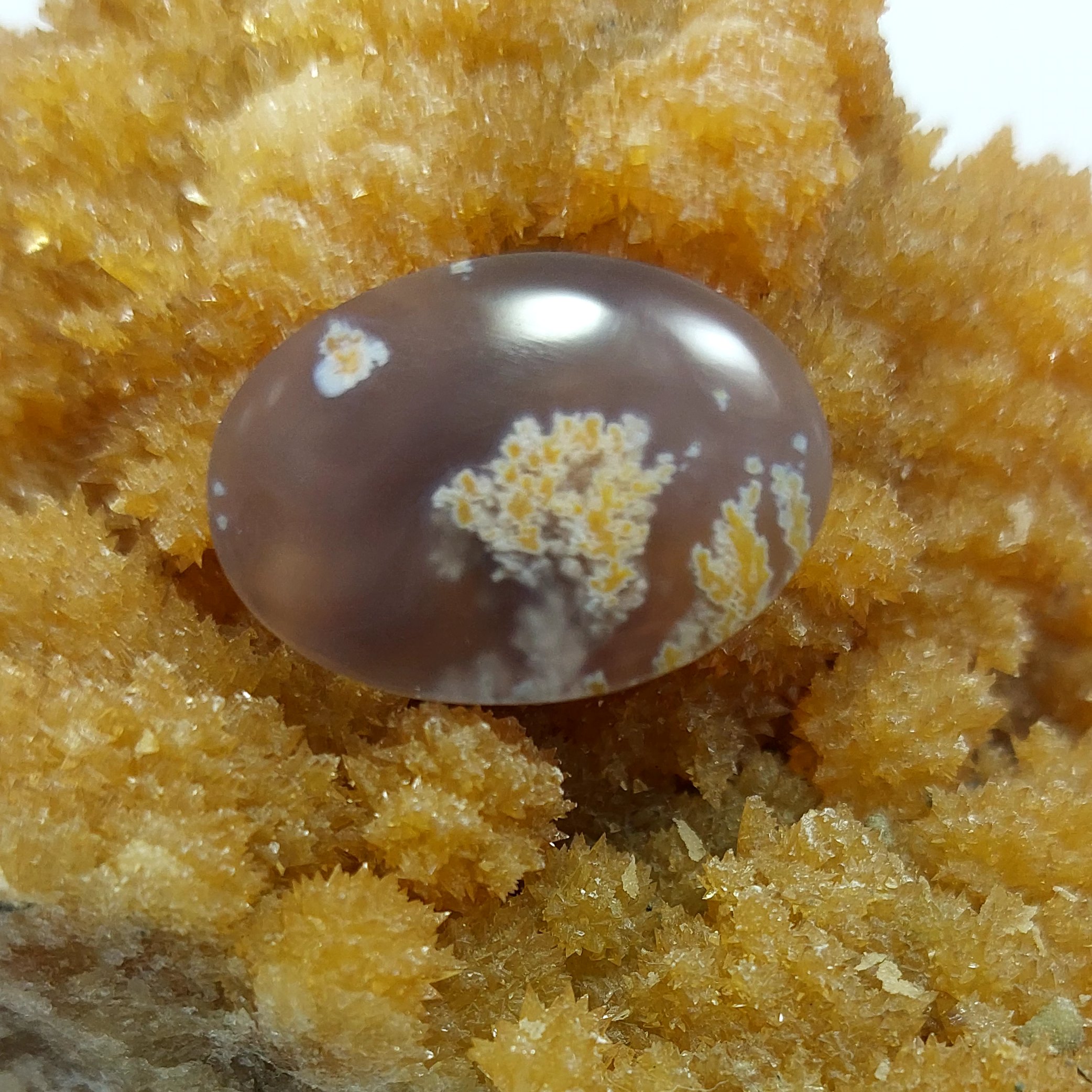 عقیق شجر بهاره زمینه سوسنی مخصوص گردنبند و دستبند.