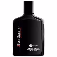 ادکلن مردانه بایلندو مدل سیلور سنت 100 میلی لیتر
