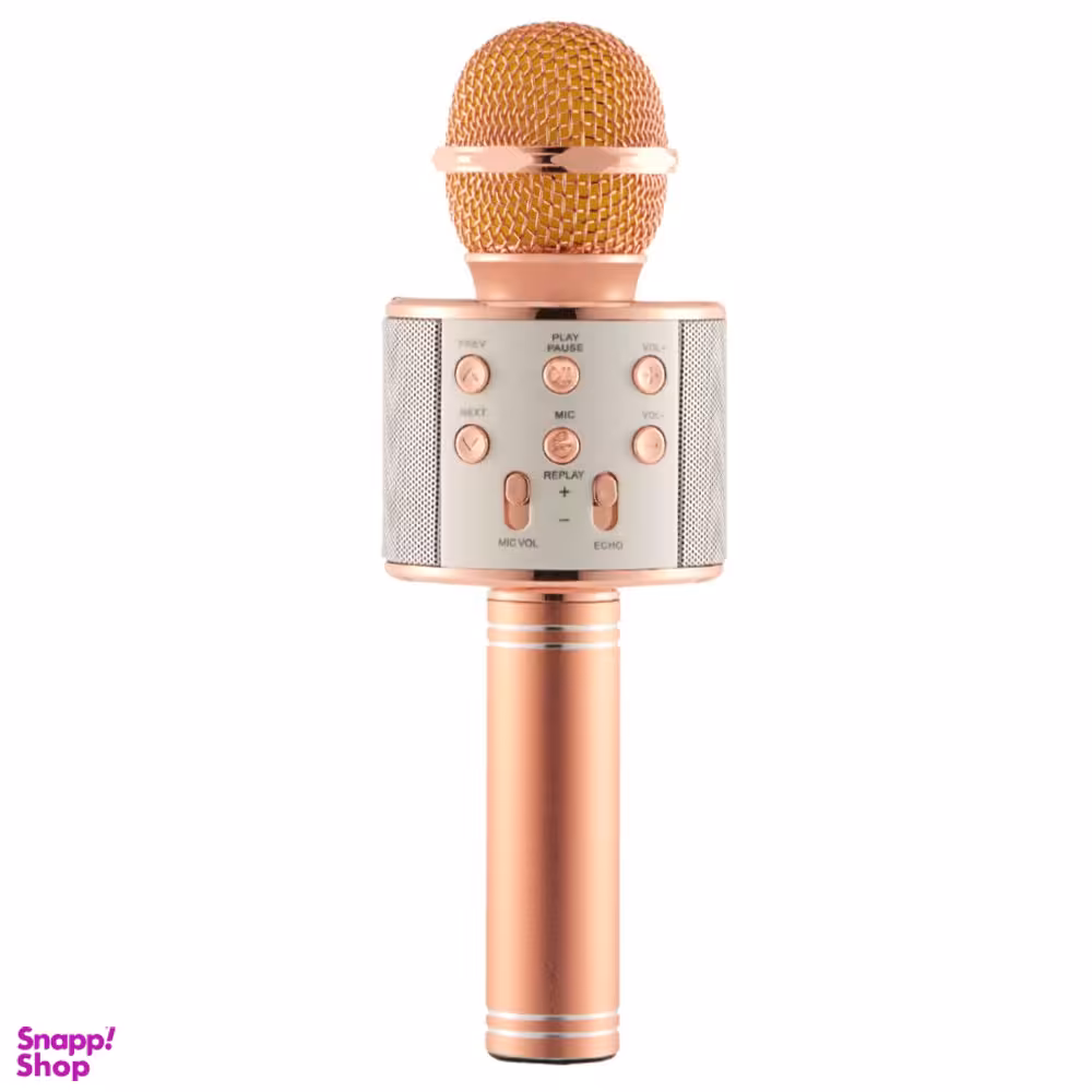 میکروفون اسپیکر وستر (Wster) مدل WS 858