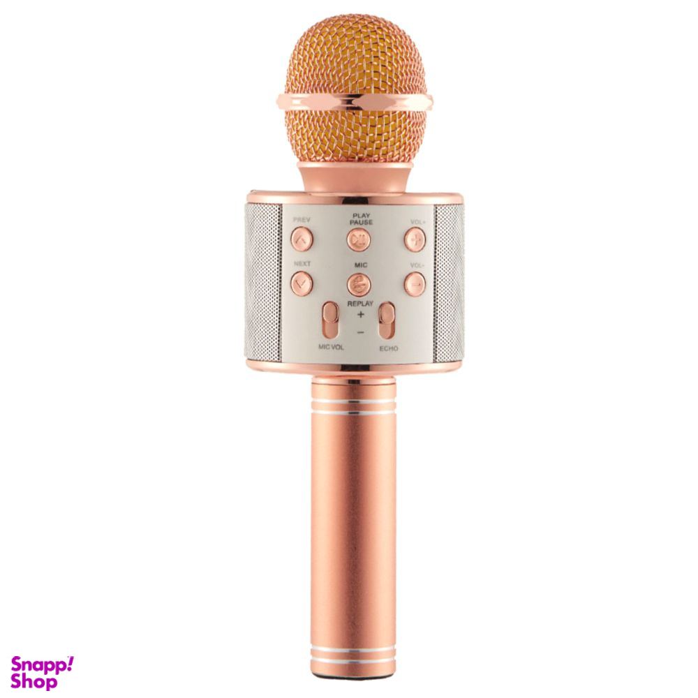 میکروفون اسپیکر وستر (Wster) مدل WS 858