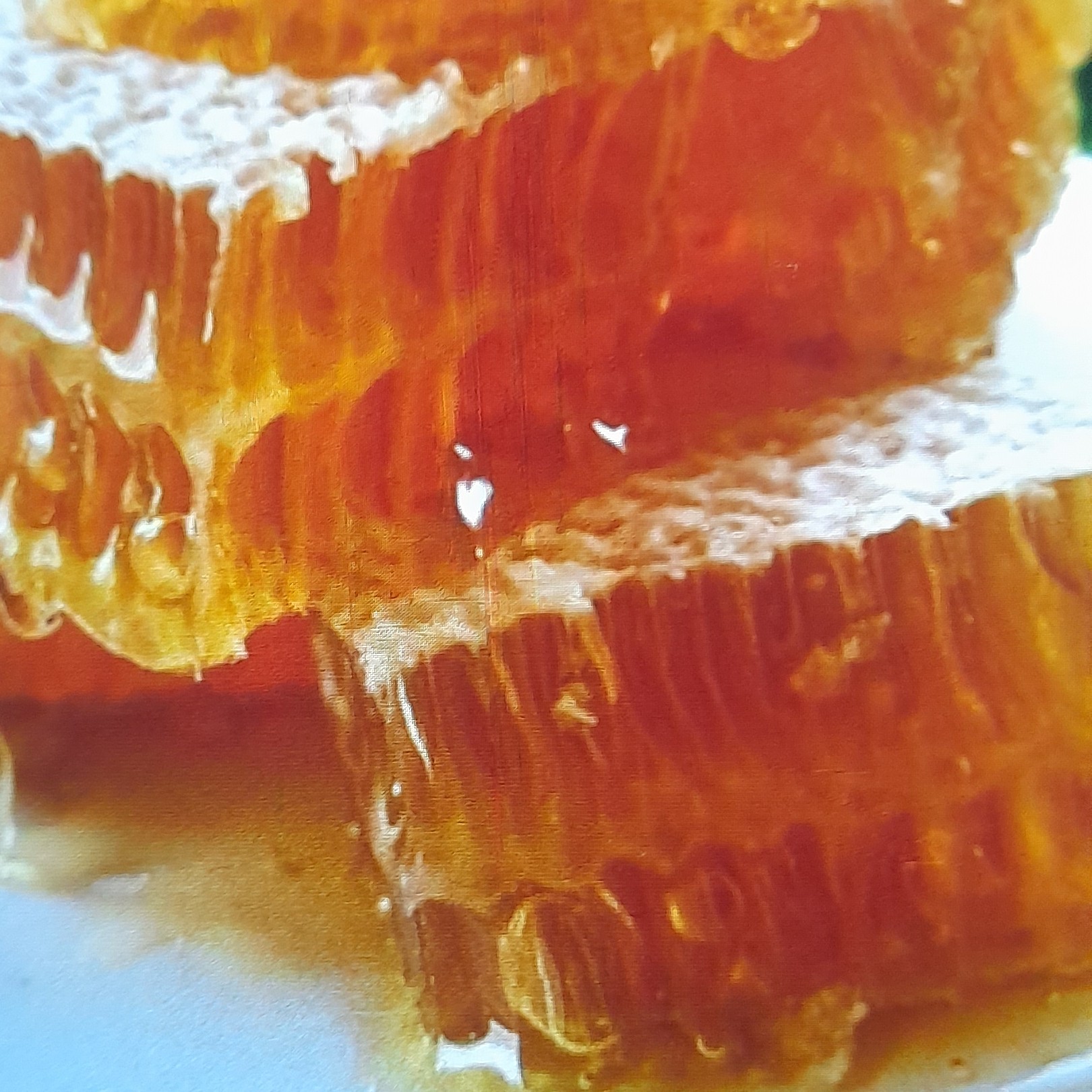 عسل