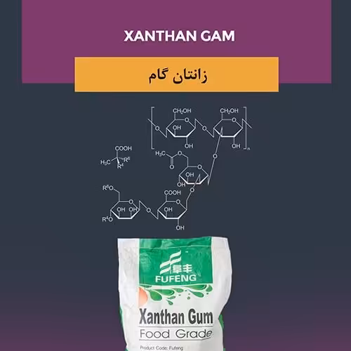 زانتان گام 500گرمی گرید خوراکی صمغ وارداتی اصل