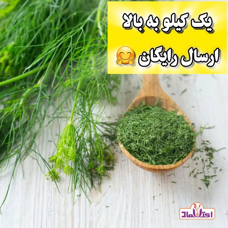 شوید خشک سبز اعلا 250 گرمی اعتماد تازه(سبزی شوید) | amazonchi