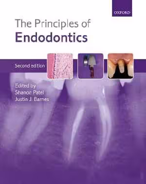[PDF] دانلود کتاب The Principles Of Endodontics, 2nd ed, 2013