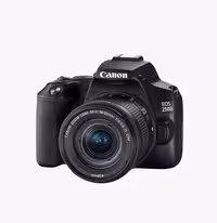 دوربین عکاسی Canon 250D EF-S 18-55 IS STM Lens Kit