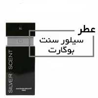عطر بوگارت سیلور سنت اینتنس اسپرت حجم 30 میلی لیتر (Jacques Bogart Silver Scent Intense ) اورجینال