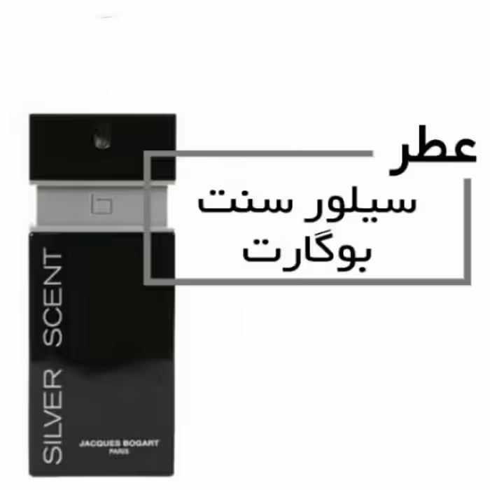 عطر بوگارت سیلور سنت اینتنس اسپرت حجم 30 میلی لیتر (Jacques Bogart Silver Scent Intense ) اورجینال