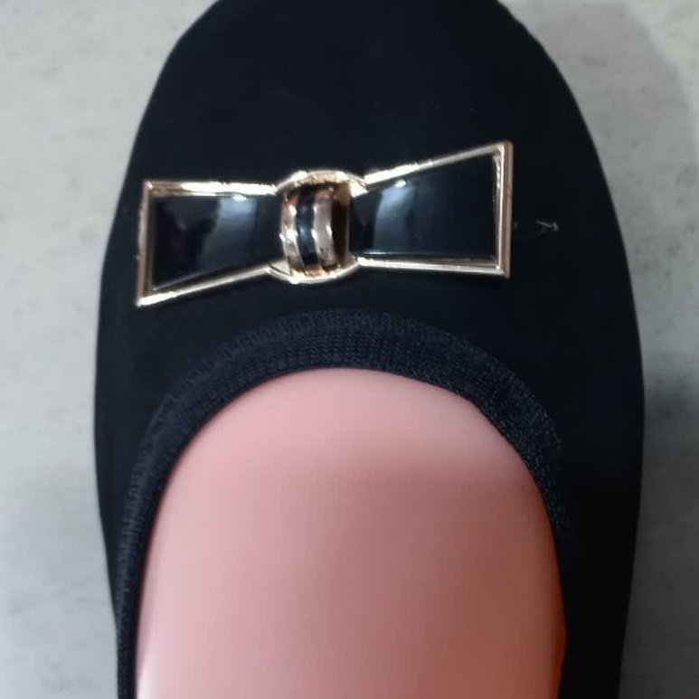 پاپوش مجلسی