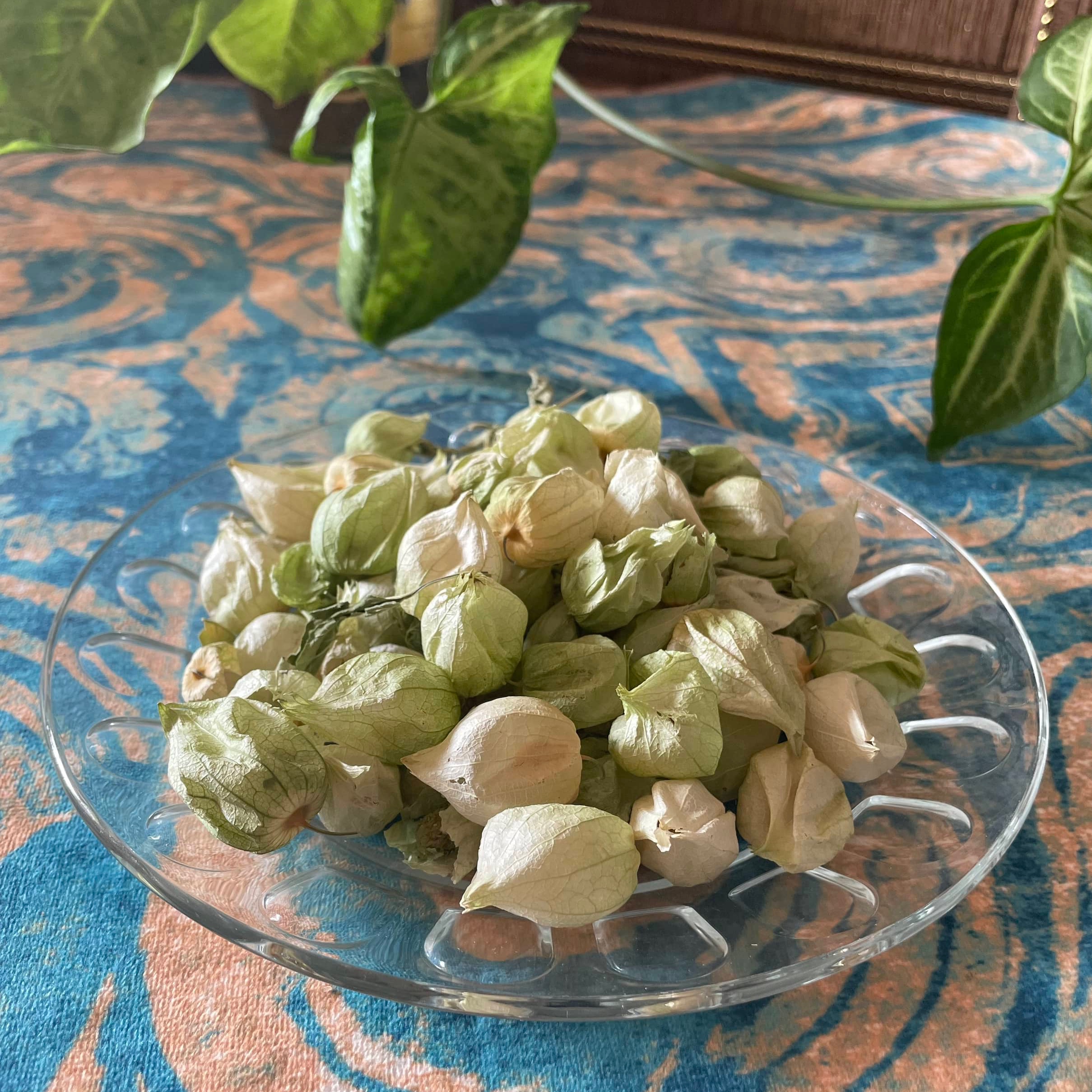 کاکنج عروسک پشت پرده خشک شده تمیز (50گرمی)