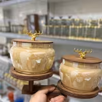 ظرف  پذیرای بیتا پله ی رنگی 