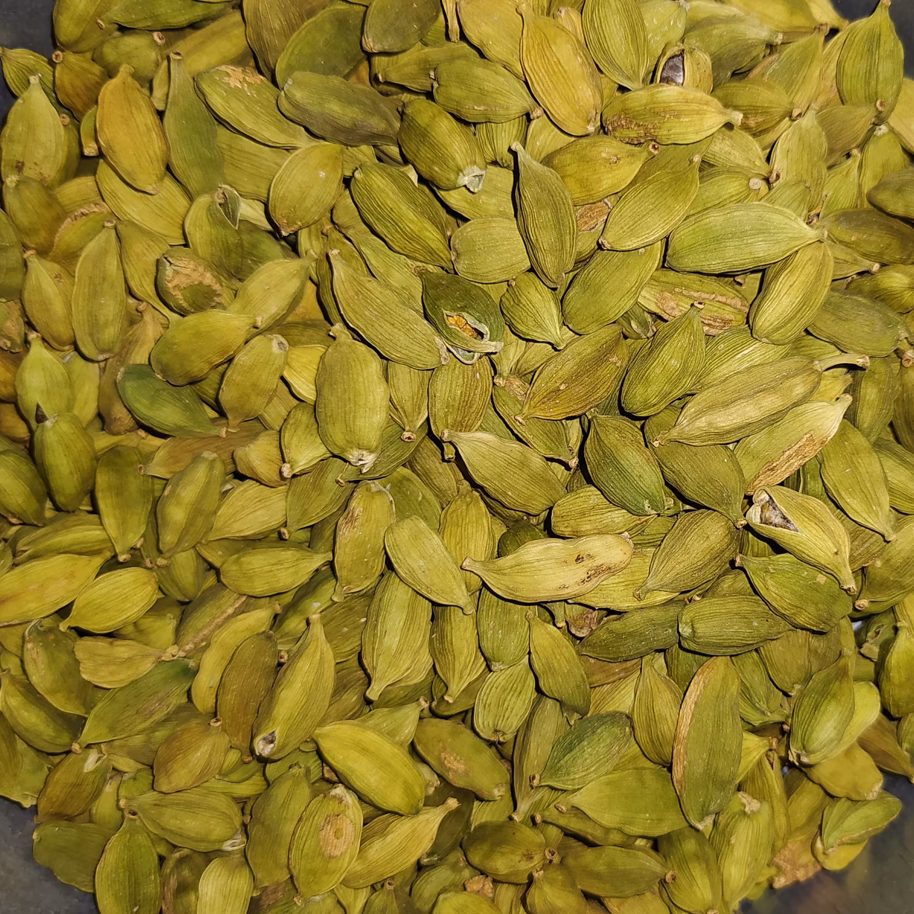 هل درشت اکبر