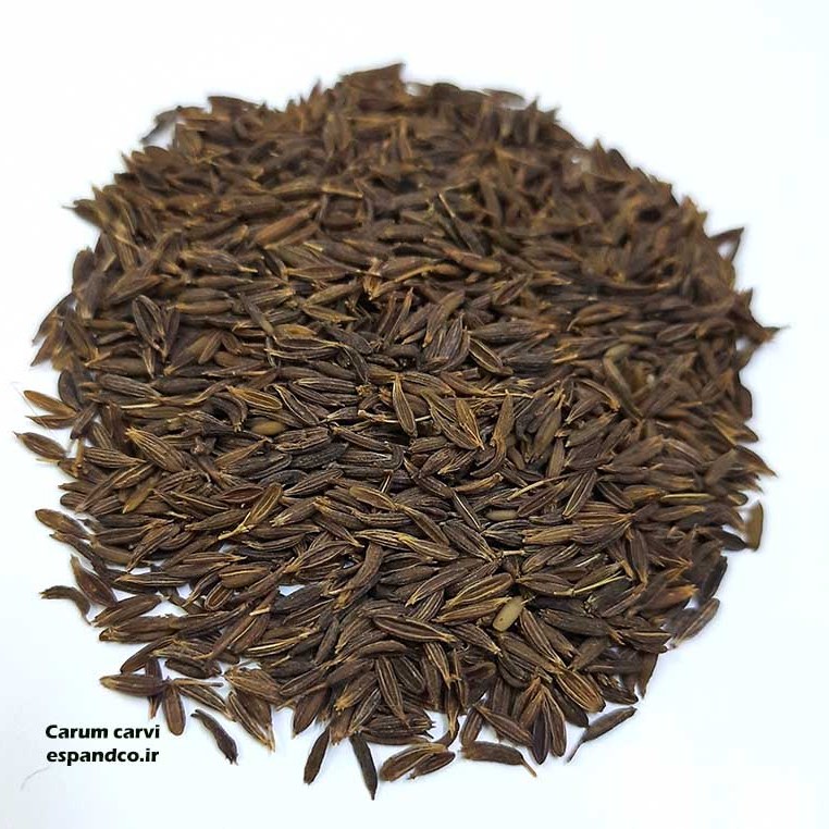 زیره سیاه (50 گرم دانه خشک) Carum carvi