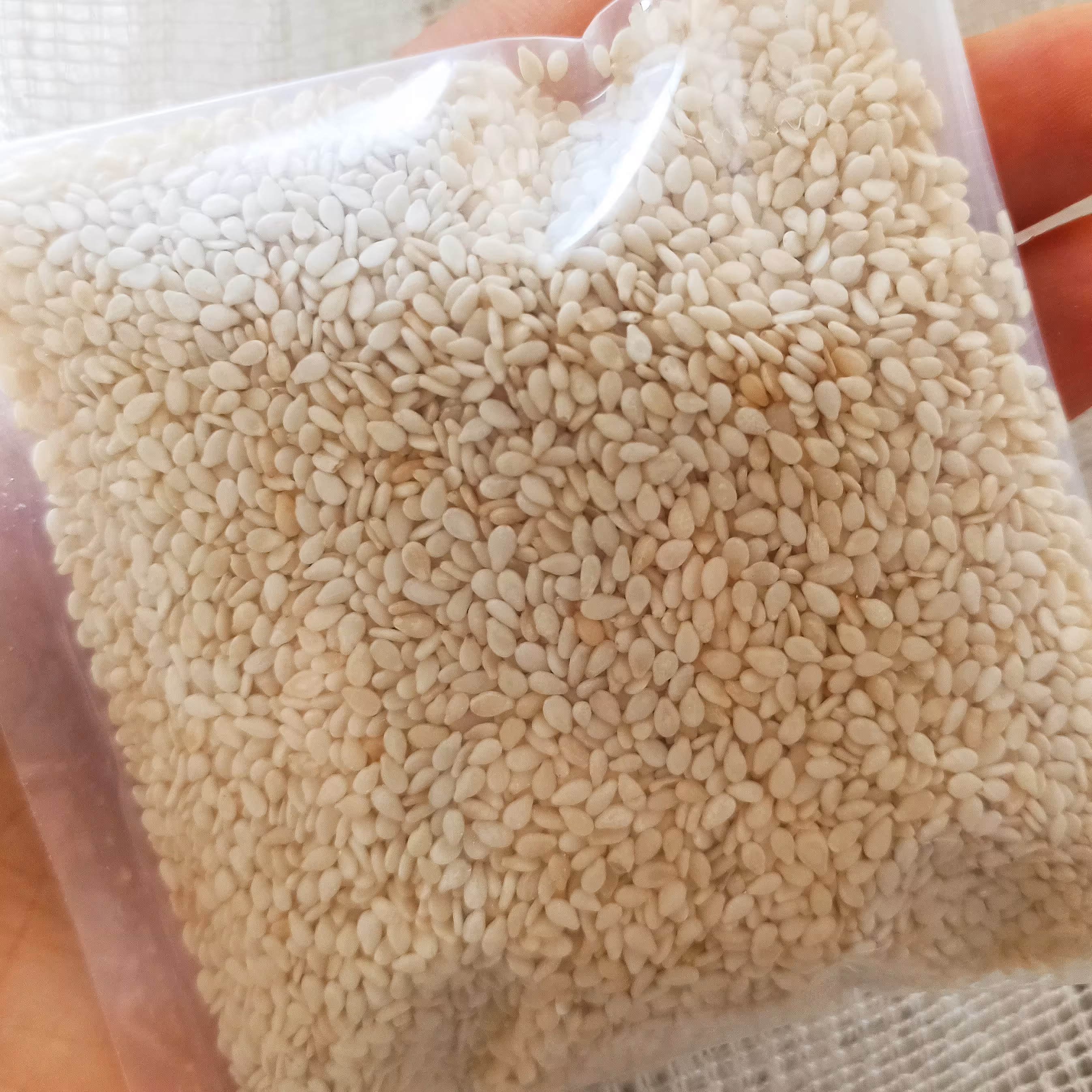 کنجد سفید 100گرمی 