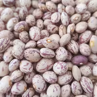 لوبیا چیتی  یک کیلویی