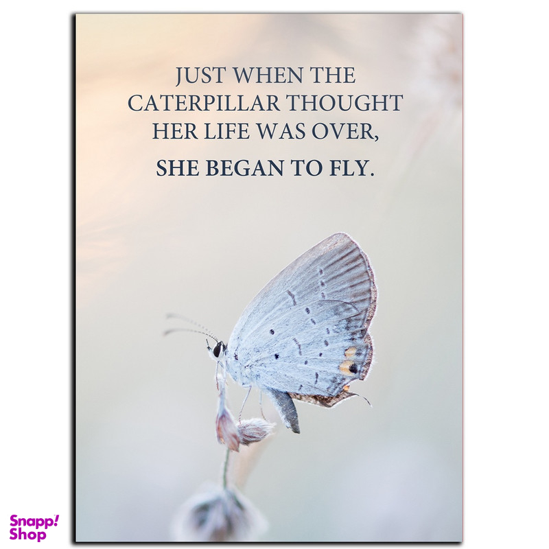 تابلو شاسی بکلیت طرح جمله انگیزشی مثبت انگلیسی شکوفا شدن مدل SH-12032