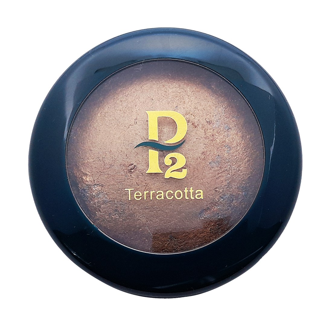 رژ گونه پی تو مدل تراکوتا شماره 808