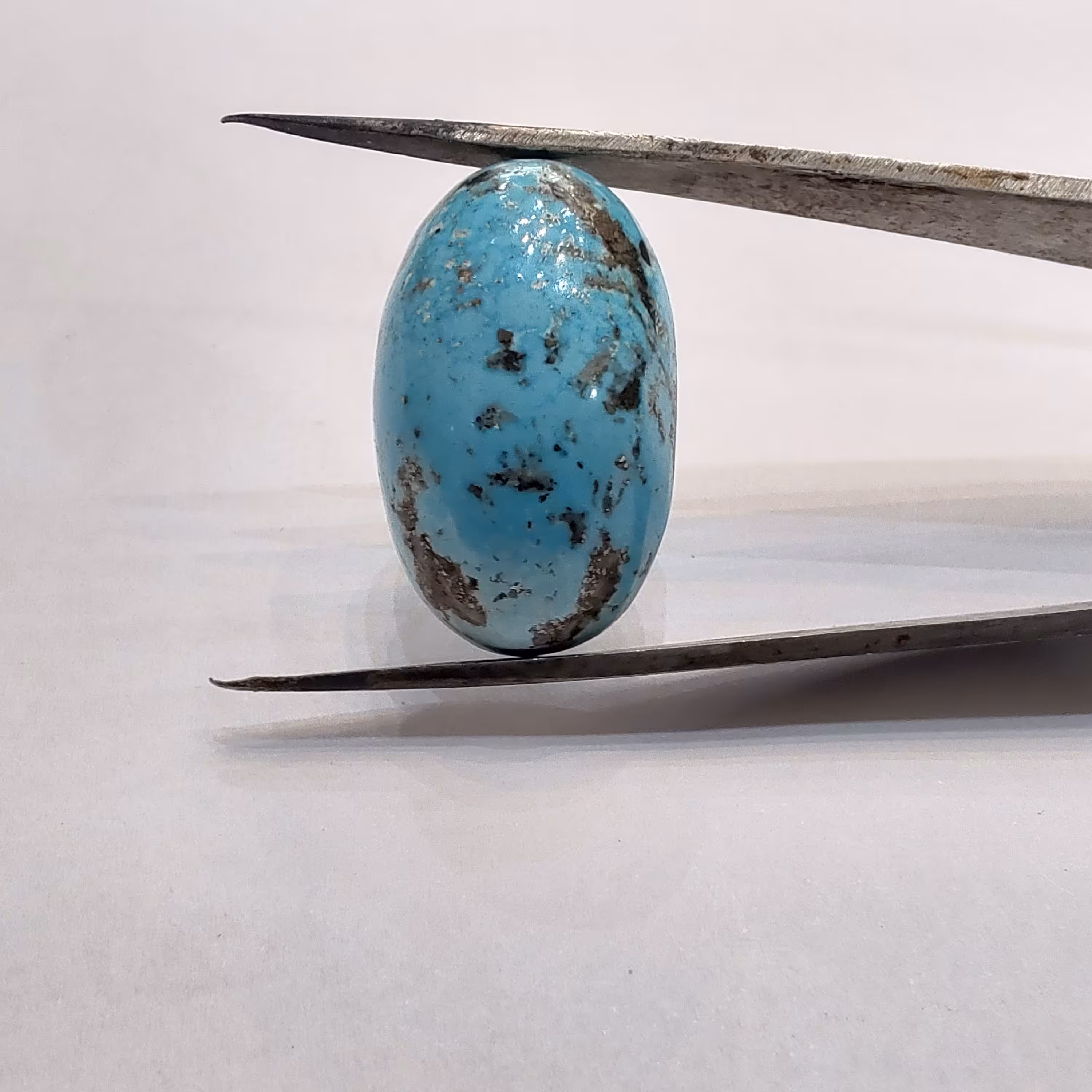 فیروزه کرمان تمام مغز