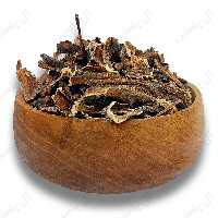 خراطین (کیلویی)