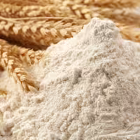 پودر جوانه گندم 600 گرمی پودرجوانه