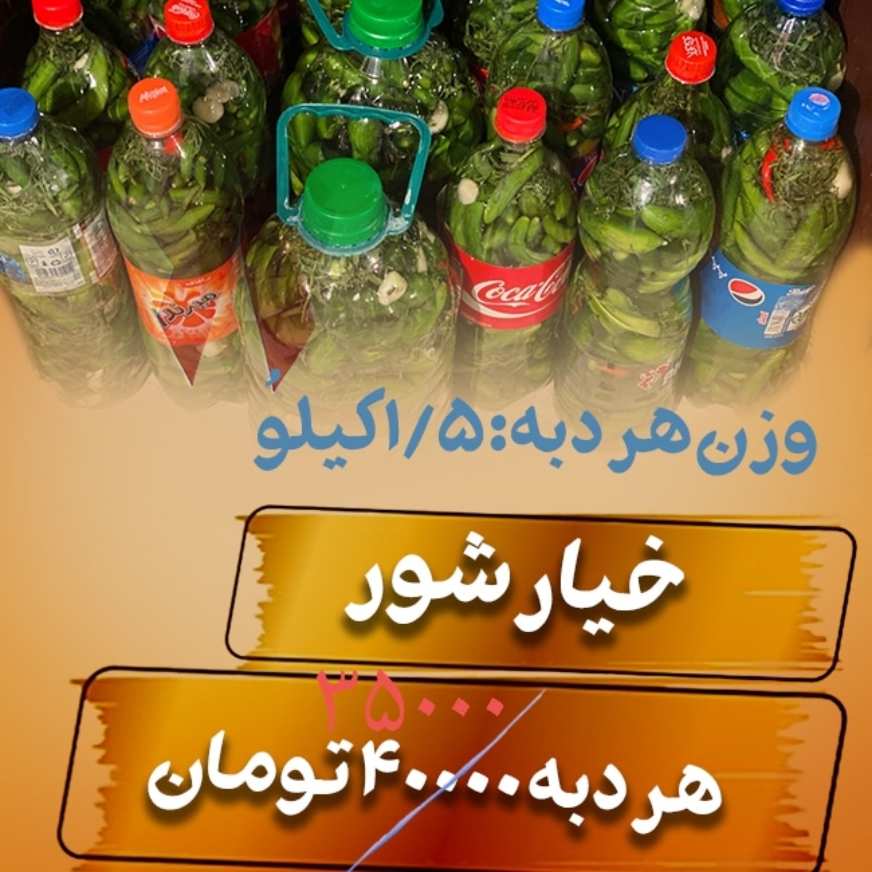 خیارشور اعلا-با خیارِ ریز-با دبه کاملا پُر