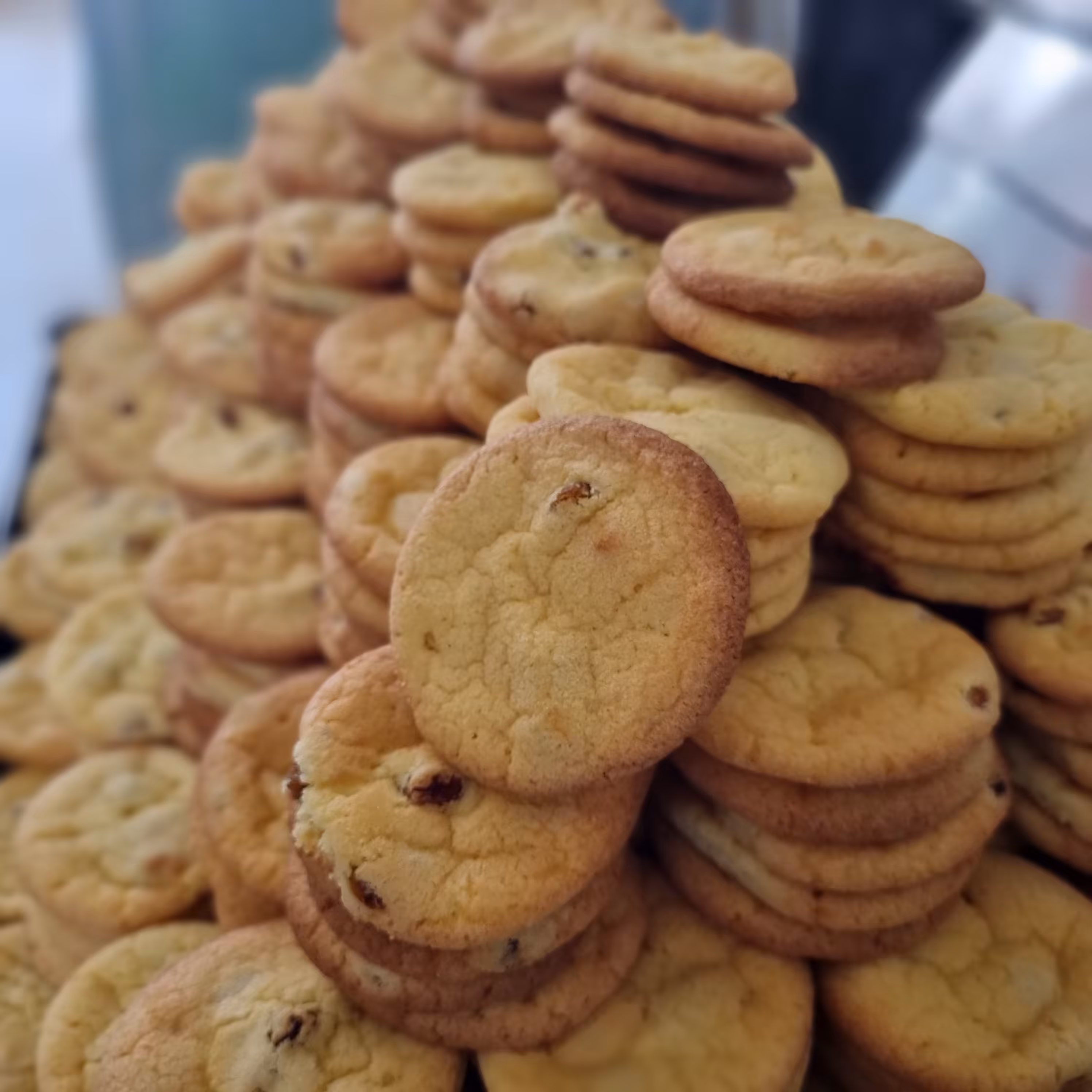 شیرینی کشمشی کلوچه کشمشی (1 کیلوگرم)