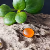 عقیق یمنی پرتقالی با تراش جواهری کد Y 7542