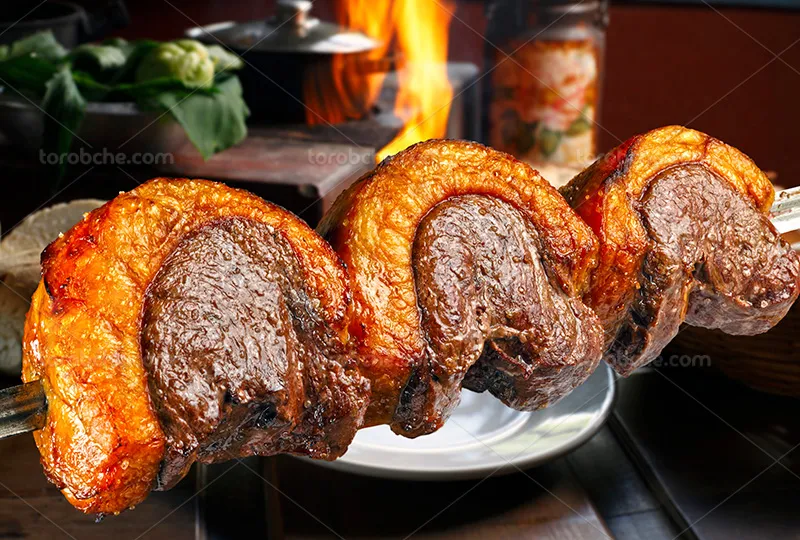 عکس کلوز آپ کباب چنجه با دنبه | گرافیک با طعم تربچه