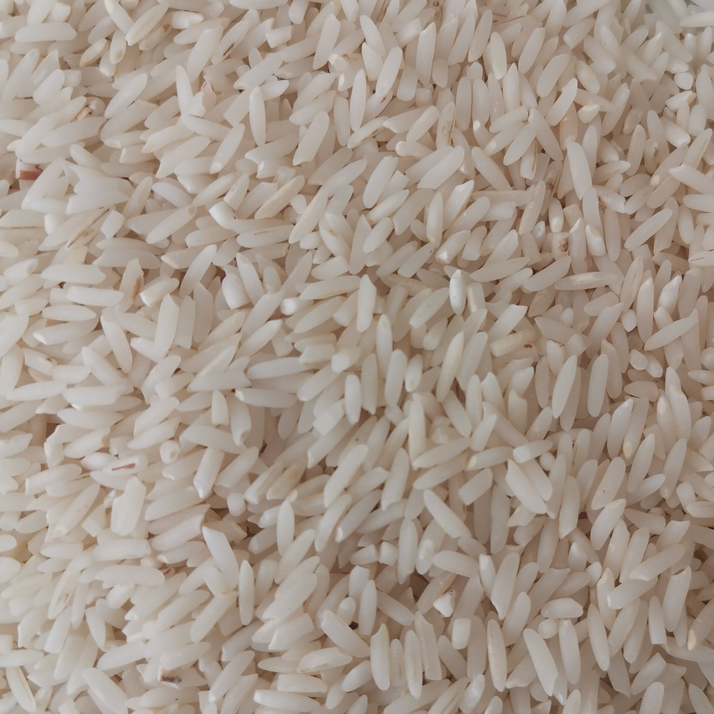 برنج دمسیاه محلی باکیفیت_مینودشت(5 کیلویی)