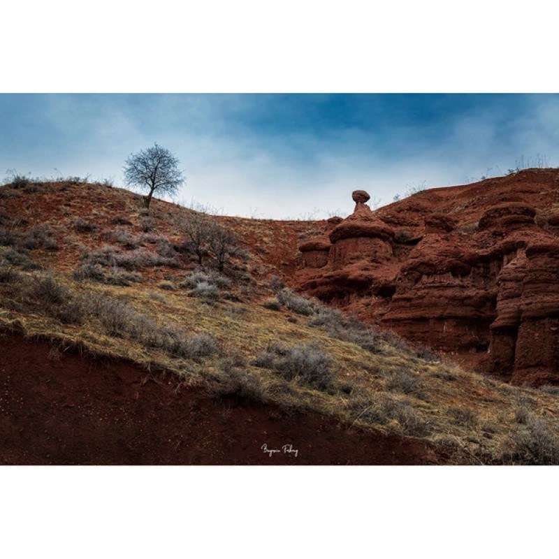 تابلو شاسی کد benpics-0075 (ابعاد 90x60 - شاسی 8 میل-کاغذ سیلک-اصالت تصویر)