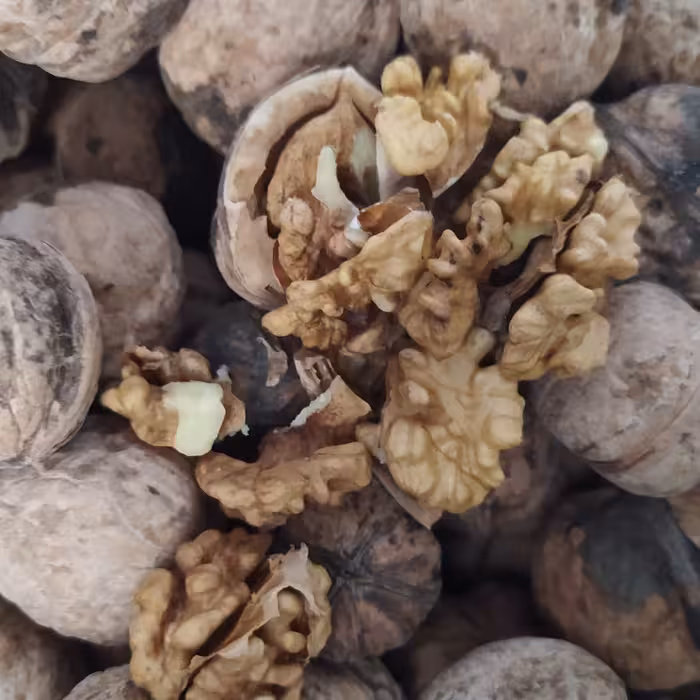 گردو درجه یک  ارگانیک( عمده 20کیلو) با کیفیت عالی  