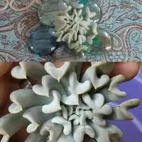 ساکولنت خمیری