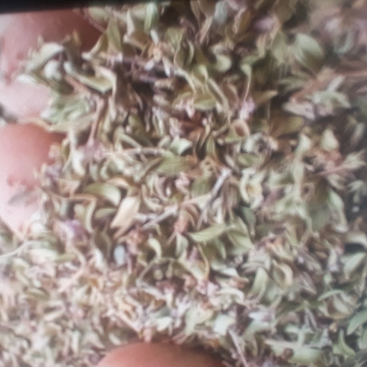 آویشن کوهی وزن 250گرم 