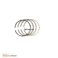 رینگ موتور 206 تیپ 2 ریک