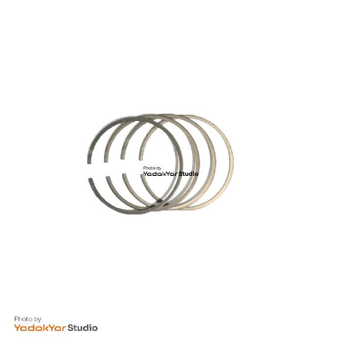 رینگ موتور 206 تیپ 2 ریک