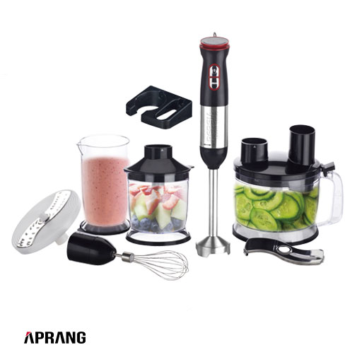 غذاساز 6 کاره پرشیا فرانس مدل PR-551