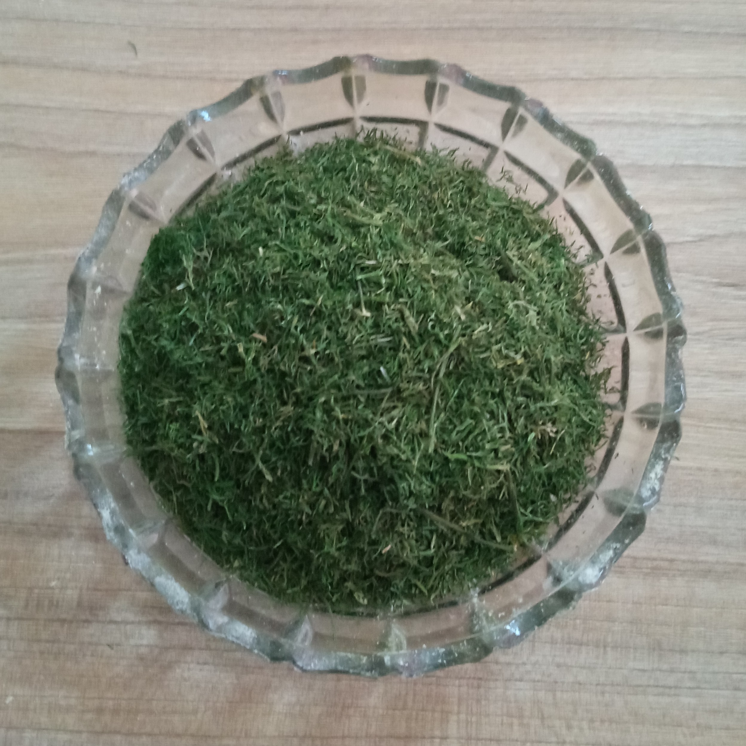 شوید خشک (45 گرم)