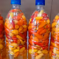 ترشی فلفل رنگی خونگی مکزیکی (850)گرم