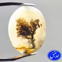 نگین عقیق شجر تک درخت قیمت مناسب