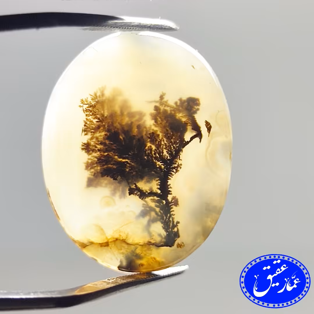 نگین عقیق شجر تک درخت قیمت مناسب