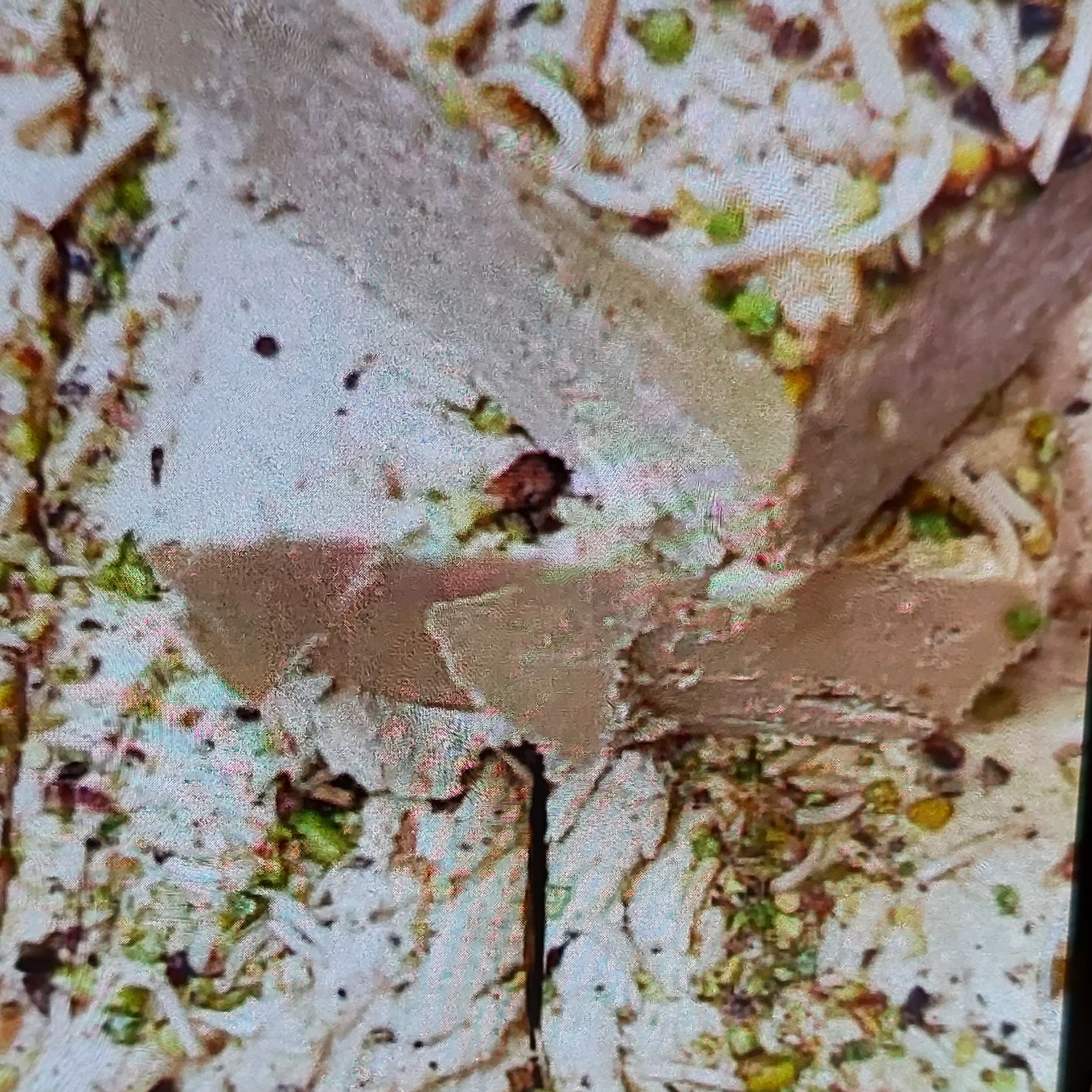 حلواشکری فله ای تازه و با کیفیت بالا و تزئین خلال پسته و خلال بادام بدون مواد نگهدار نددر بسته بندی های مختلف