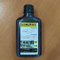 ریکا  سیاه نانویی